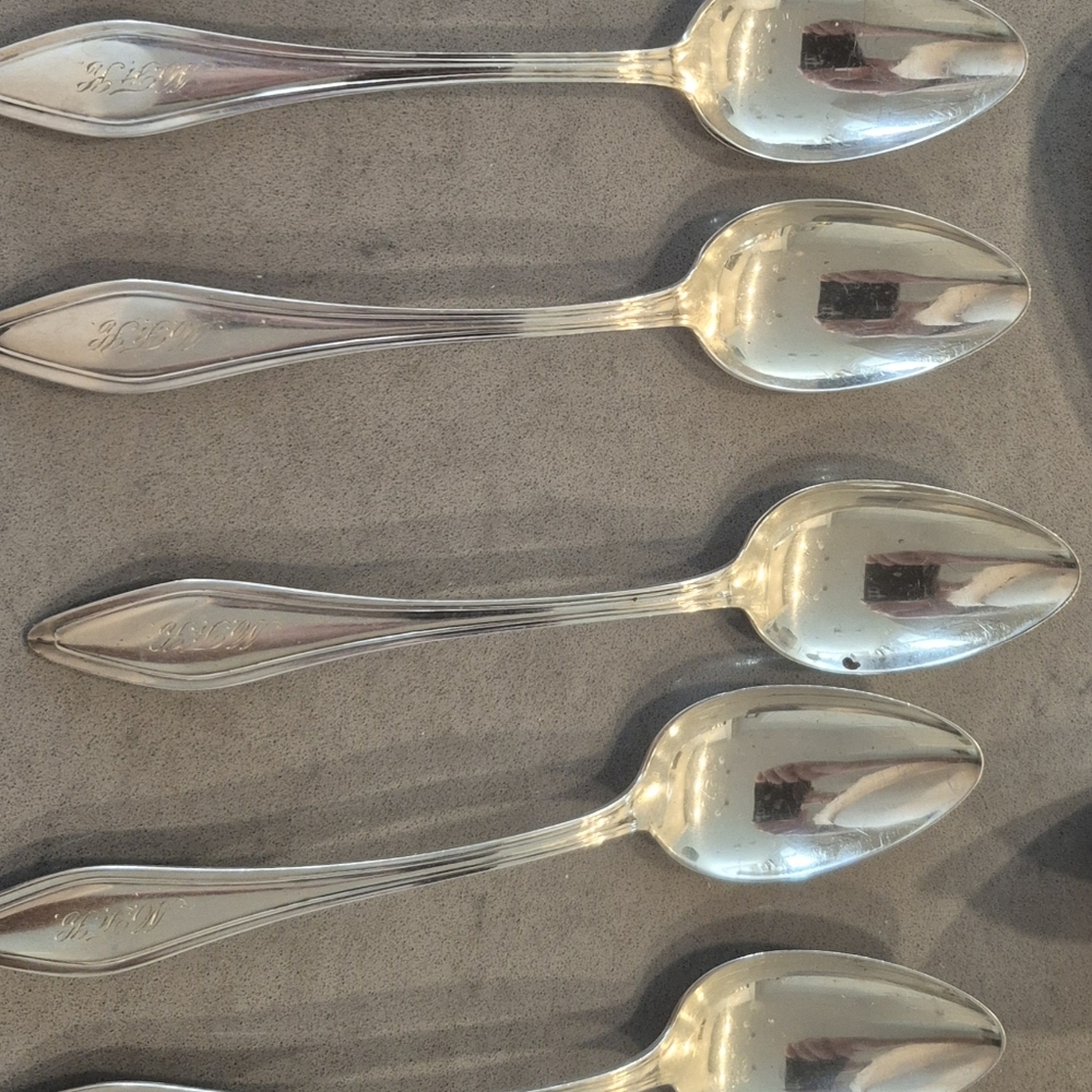 Elegant Silver Spoons Set